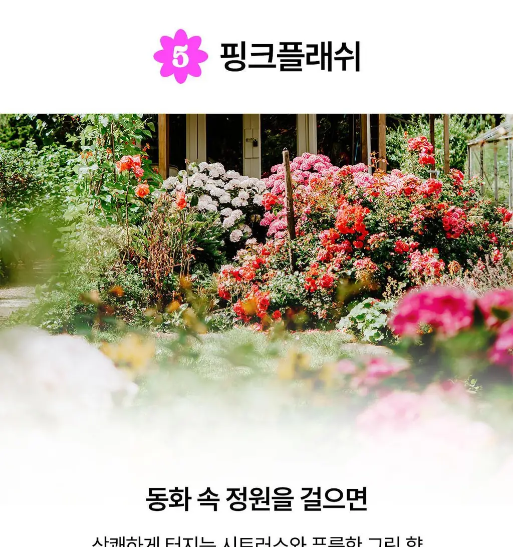 [NEW] 랩스밤 버블 배쓰밤 핑크플래쉬/선키스드 140g 상세페이지 14